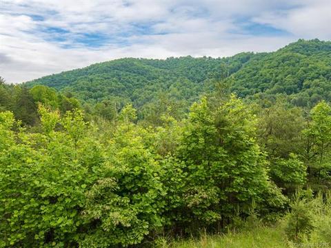 7450 Big Pine Rd, Marshall, NC 28753 photo 17