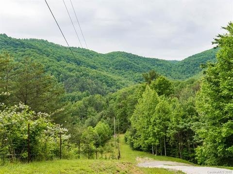 7450 Big Pine Rd, Marshall, NC 28753 photo 19