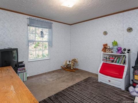 7450 Big Pine Rd, Marshall, NC 28753 photo 15