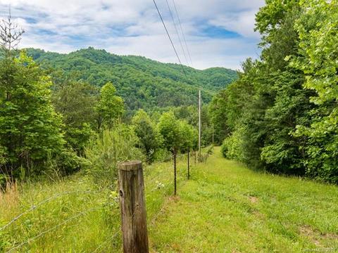 7450 Big Pine Rd, Marshall, NC 28753 photo 22