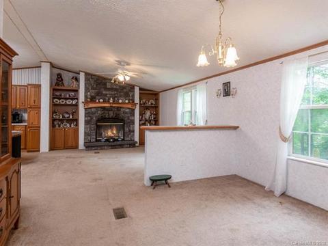 7450 Big Pine Rd, Marshall, NC 28753 photo 5