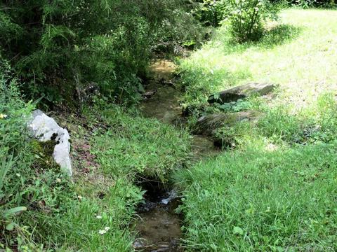 641 Rambling Rd, Cullowhee, NC 28723 photo 3