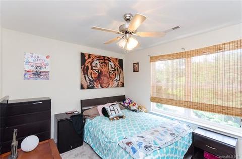 302 Tinderbox Ln, Fort Mill, SC 29708 photo 6
