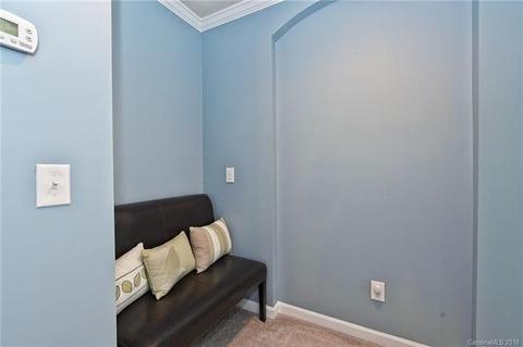 8208 Ruby Valley Rd, Charlotte, NC 28277 photo 22