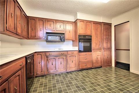 20906 Rio Oro Dr, Cornelius, NC 28031 photo 10