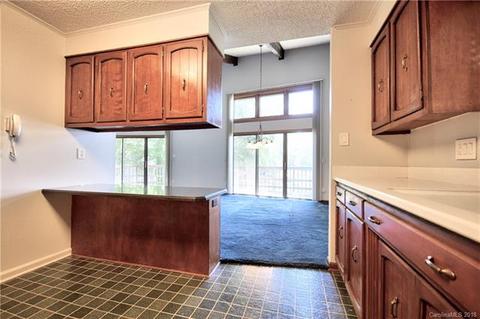 20906 Rio Oro Dr, Cornelius, NC 28031 photo 9