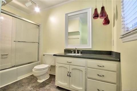 20906 Rio Oro Dr, Cornelius, NC 28031 photo 13