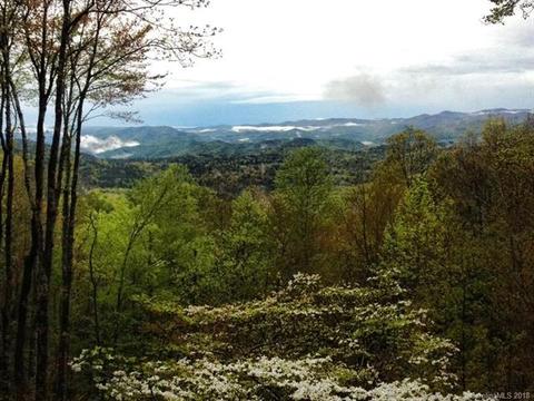 133 Fox Ln, Brevard, NC 28712 photo 34