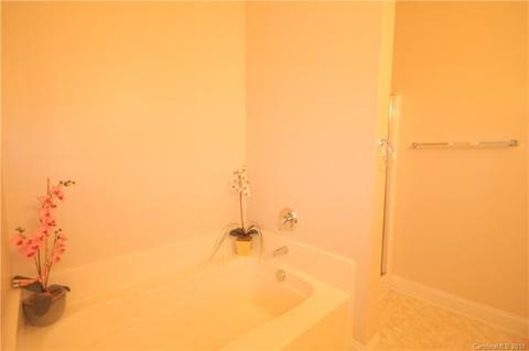 19738 Feriba Pl, Cornelius, NC 28031 photo 16
