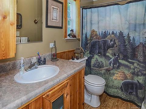 157 Cascade Mountain Dr, Canton, NC 28716 photo 17