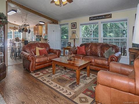 157 Cascade Mountain Dr, Canton, NC 28716 photo 3