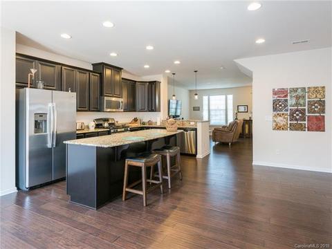 1353 Jacemans Way, Cornelius, NC 28031 photo 16