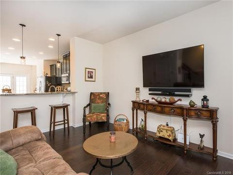 1353 Jacemans Way, Cornelius, NC 28031 photo 9