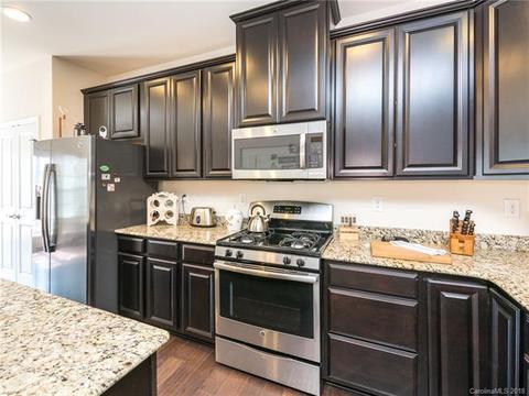 1353 Jacemans Way, Cornelius, NC 28031 photo 13