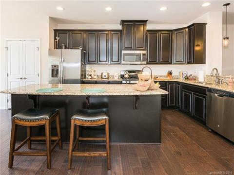 1353 Jacemans Way, Cornelius, NC 28031 photo 12