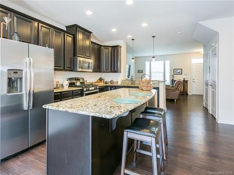 1353 Jacemans Way, Cornelius, NC 28031 photo 2