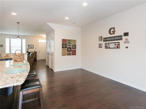 1353 Jacemans Way, Cornelius, NC 28031 photo 3