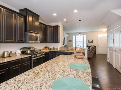 1353 Jacemans Way, Cornelius, NC 28031 photo 14