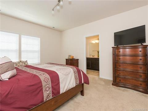 1353 Jacemans Way, Cornelius, NC 28031 photo 20