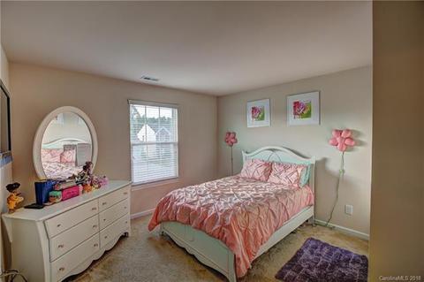 10929 Kingsview Dr, Davidson, NC 28036 photo 21