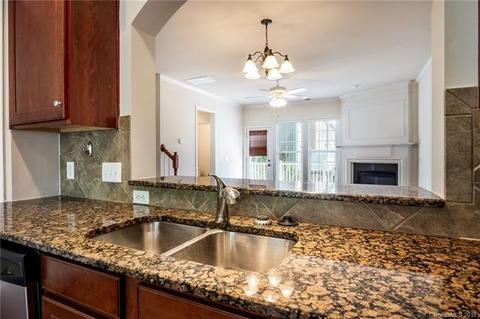 643 Sixth Baxter Xing, Fort Mill, SC 29708 photo 7