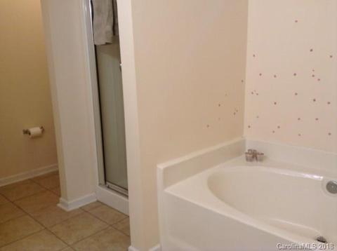 7005 Blithe Low Pl, Charlotte, NC 28227 photo 28