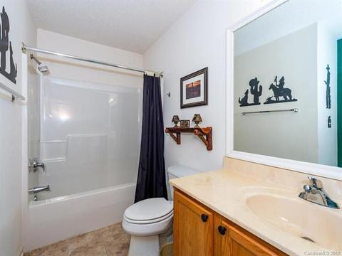 30 E Danbury Ln, Brevard, NC 28712 photo 28
