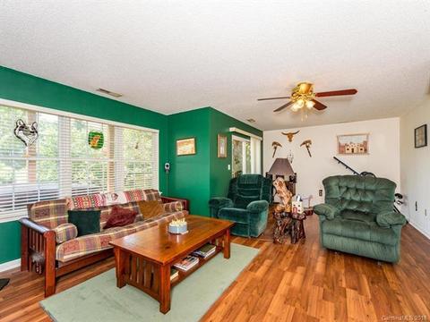 30 E Danbury Ln, Brevard, NC 28712 photo 23