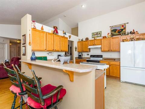 30 E Danbury Ln, Brevard, NC 28712 photo 8