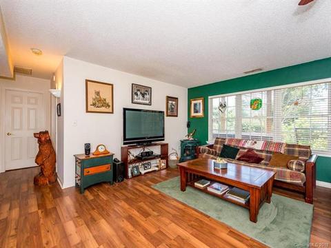 30 E Danbury Ln, Brevard, NC 28712 photo 24