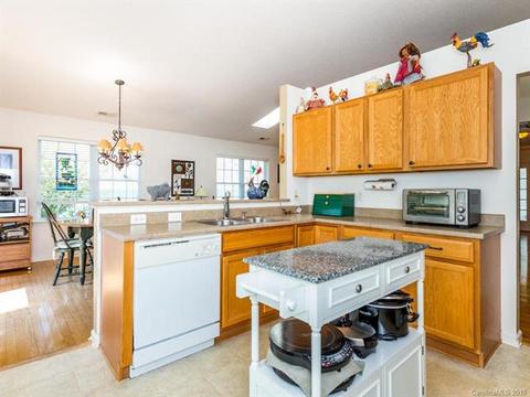 30 E Danbury Ln, Brevard, NC 28712 photo 11