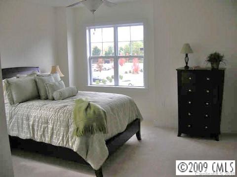 245 Harbour Place Dr, Davidson, NC 28036 photo 5