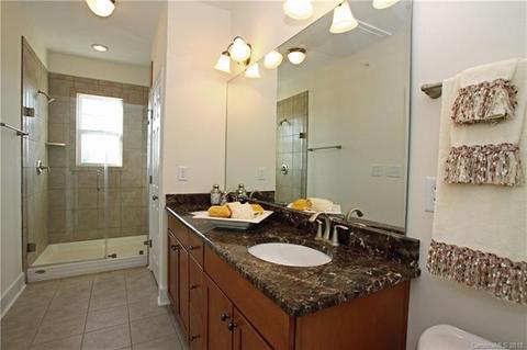 245 Harbour Place Dr, Davidson, NC 28036 photo 6