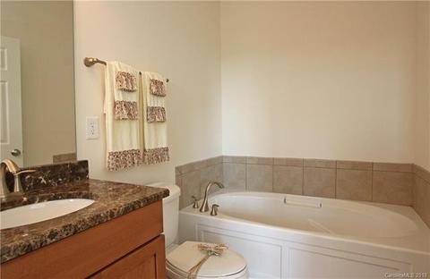 245 Harbour Place Dr, Davidson, NC 28036 photo 7