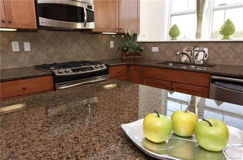 245 Harbour Place Dr, Davidson, NC 28036 photo 4