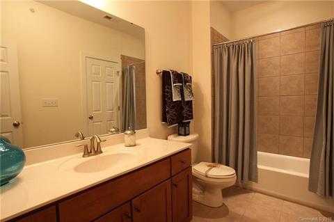 245 Harbour Place Dr, Davidson, NC 28036 photo 9