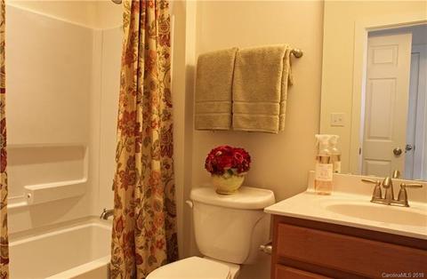 245 Harbour Place Dr, Davidson, NC 28036 photo 13