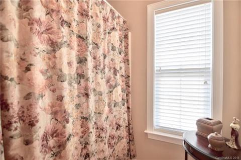 17300 Silas Place Dr, Davidson, NC 28036 photo 29