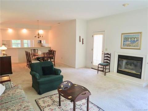26 Chipmunk Ct, Brevard, NC 28712 photo 7