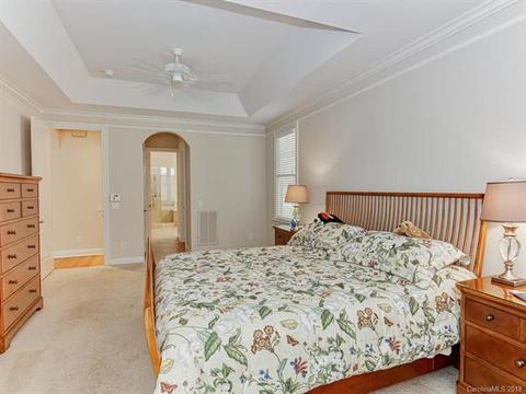 20225 Hammock Oak Dr, Cornelius, NC 28031 photo 16
