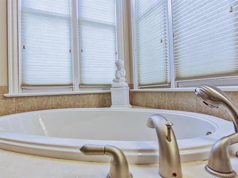 20225 Hammock Oak Dr, Cornelius, NC 28031 photo 19