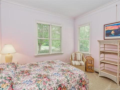 20225 Hammock Oak Dr, Cornelius, NC 28031 photo 22