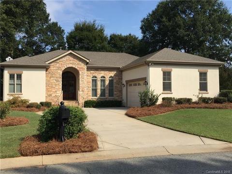 20225 Hammock Oak Dr, Cornelius, NC 28031 photo 1