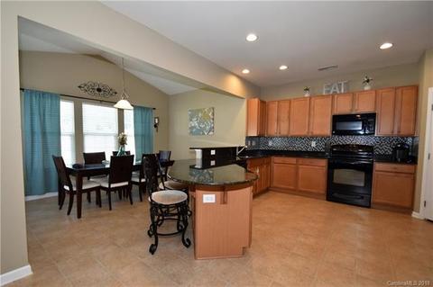 10928 Kingsview Dr, Davidson, NC 28036 photo 3