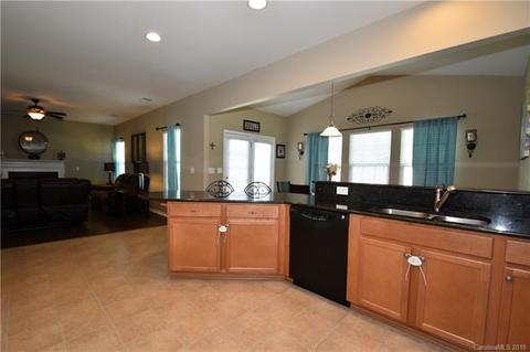 10928 Kingsview Dr, Davidson, NC 28036 photo 4