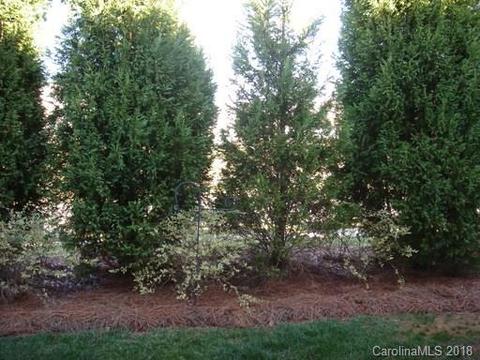 7475 Bluff Point Ln, Denver, NC 28037 photo 3