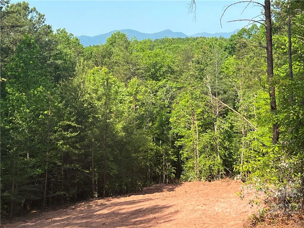 Pisgah Preserve Lot Unit 19 Dr Lot 19  