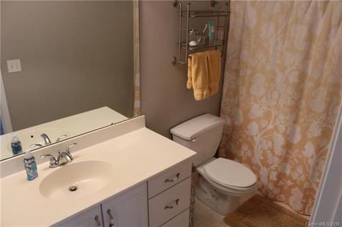 8122 Forest Shadow Cir, Cornelius, NC 28031 photo 23