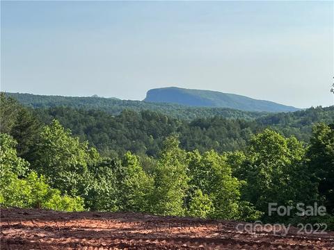 Lot #4 Pisgah Preserve Lot APT 4 Drive LOT 4, Nebo, NC 28761