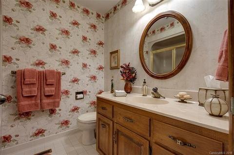 439 Cardinal Dr, Brevard, NC 28712 photo 22